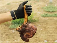 Chef holding a grilled bone-in chop