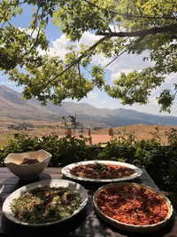 Outdoor buffet overlooking the mountains