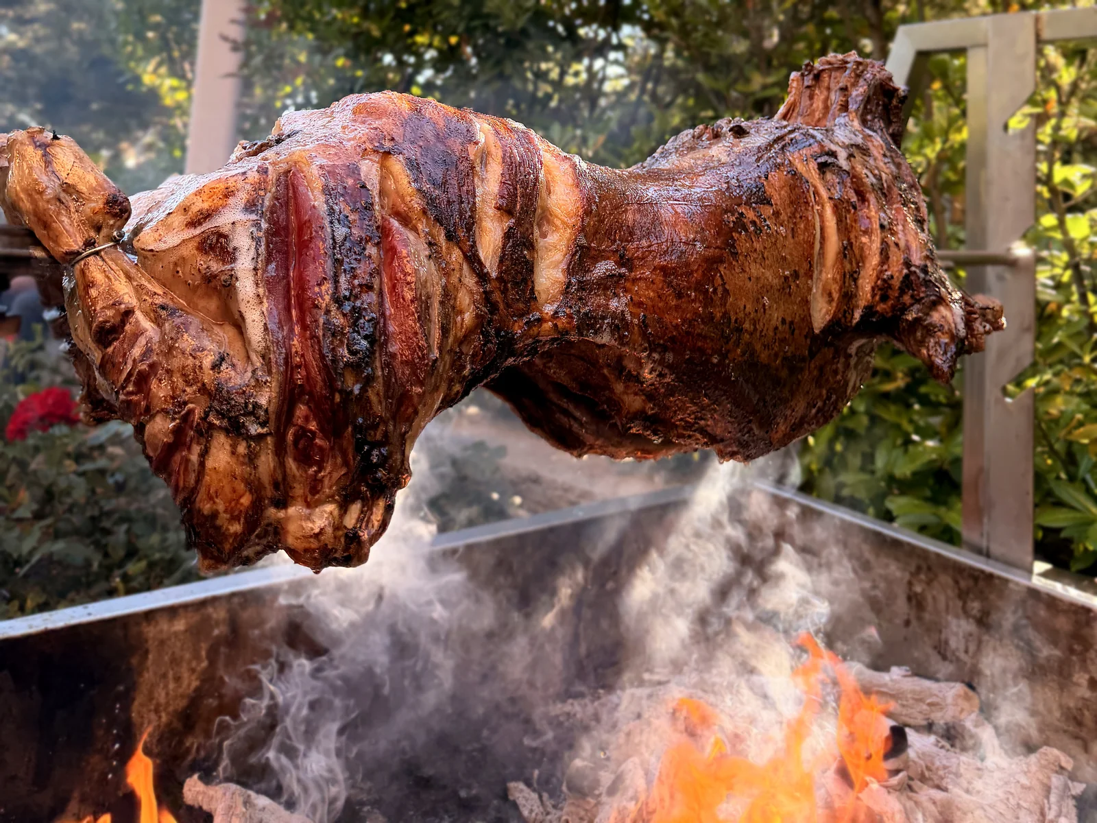 Roast lamb cooking over glowing coals at a live station