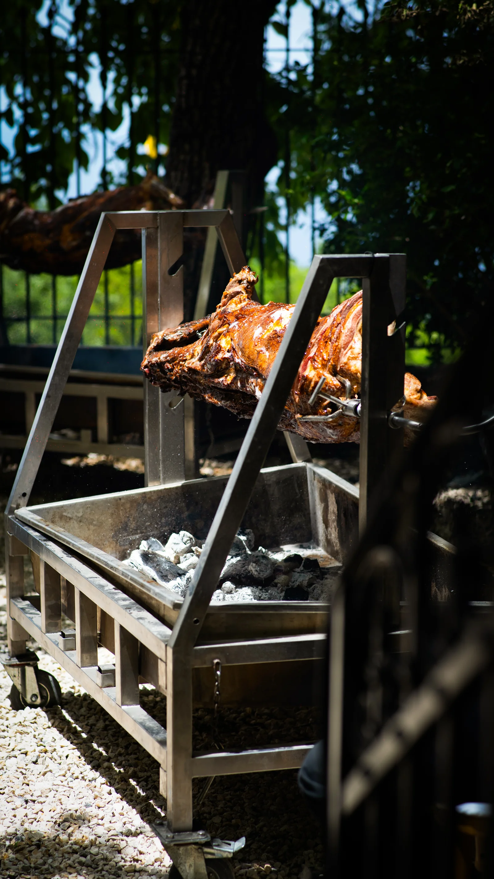 Lamb roasting over coals at an outdoor event