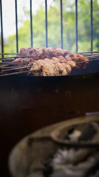 Skewers cooking over an outdoor grill